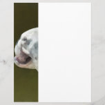 Profil anglais de bouledogue tract personnalisé