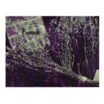 Provence-Lavendelpostkarte