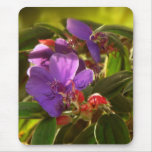 PTF 1 TAPIS DE SOURIS