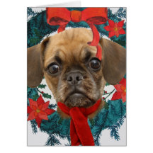 Puggle im WeihnachtsKranz Grußkarte