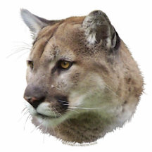 PUMA-BERGLÖWE (gemeißeltes) Tier-Geschenk Photo Statuen