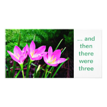 Rainlily Trio Bild Karte