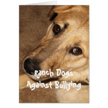 Ranch-Hunde gegen die Einschüchterung - CowboyPare Karte