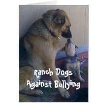 Ranch-Hunde gegen die Einschüchterung - CowboyPare Karte