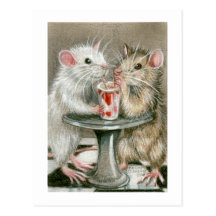 Rats sur une carte postale de date