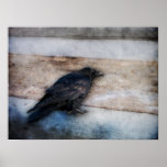 Raven emballant la bande poster