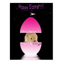 rbeastercard carte postale