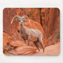 Red Rock Guardian Mousepad