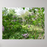 Regard par le buisson lilas poster