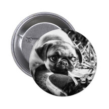 Reizende Playfull Mops Anstecknadelbuttons