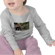 Renard-jeunes kits gris t-shirt