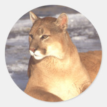 Repos de puma autocollant