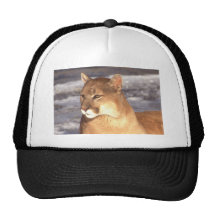 Repos de puma casquette