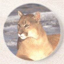 Repos de puma dessous de verre