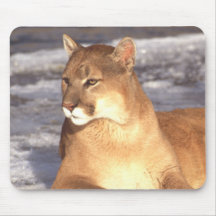 Repos de puma tapis de souris