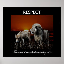Respekt Plakatdruck