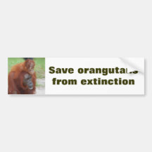 Retten Sie Orang-Utans Autosticker