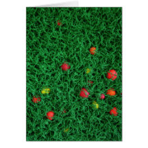 Rêves d'été cartes de vœux