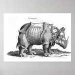 Rhinocéros, de 'Historia Animalium Affiche