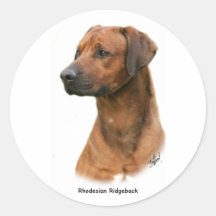 Rhodesian Ridgeback Autocollants