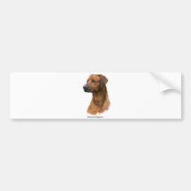 Rhodesian Ridgeback Autocollants Pour Voiture