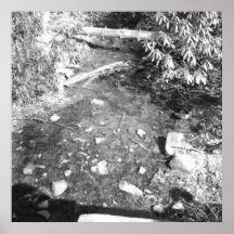 Ridley Nebenfluss-Staats-Park Posterdruck