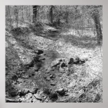 Ridley Nebenfluss-Staats-Park Posterdrucke