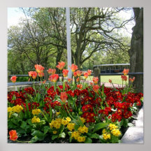 Ridley Park Blyth Northumberland in der Blüte Plakatdrucke