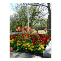 Ridley Park Blyth Northumberland Postkarten