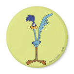 Roadrunner in der Farbe magnete