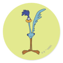 Roadrunner in der Farbe