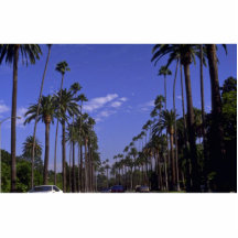 Rodeo Drive résidentiel, Beverly Hills, la Califor Découpages En Acrylique