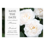Romantische weiße Rosen, die Save the Date wedding Personalisierte Ankündigungen