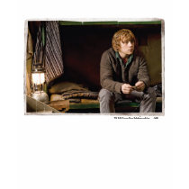 Ron Weasley 2