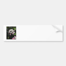 Rosa Blumen. Clematis. Stilvoller Entwurf Autosticker