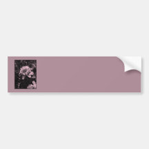 Rosa Blumen. Clematis. Stilvoller Entwurf Auto Sticker