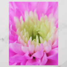 Rosa Blumen-Nahaufnahme Personalisierte Flyer
