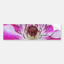 Rosa Clematis-Blume Autosticker