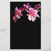 Rosa Orchidee Individuelle Flyer