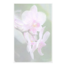 Rosa Orchidee stationär Personalisiertes Druckpapier