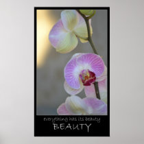 Rosa Orchideen-Ausdruck-Schönheits-Plakat