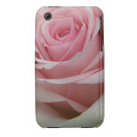 Rosa Rose, romantischer iPhone 3G/3GS Fall iPhone 3 Hülle