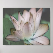 Rosa tropische Blume Plakatdruck