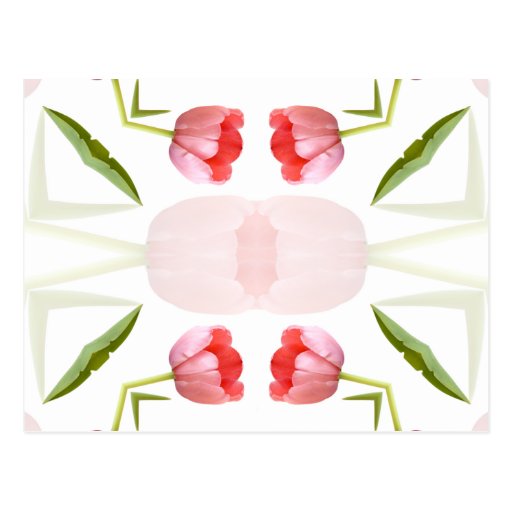 Rosa Tulpe-Kaleidoskop-Muster Postkarte