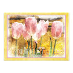 Rosa und Gelb - Frühling ist für Tulpen - Invitati Personalisierte Ankündigungskarten