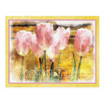 Rosa und Gelb - Frühling ist für Tulpen Postkarten