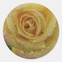 Rose-Autocollant jaune