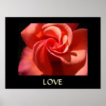 ROSE Kunst-Druck-Spirale-Rosen-Blume LIEBE Valenti