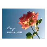 Rose Rsvp de rose Faire-parts
