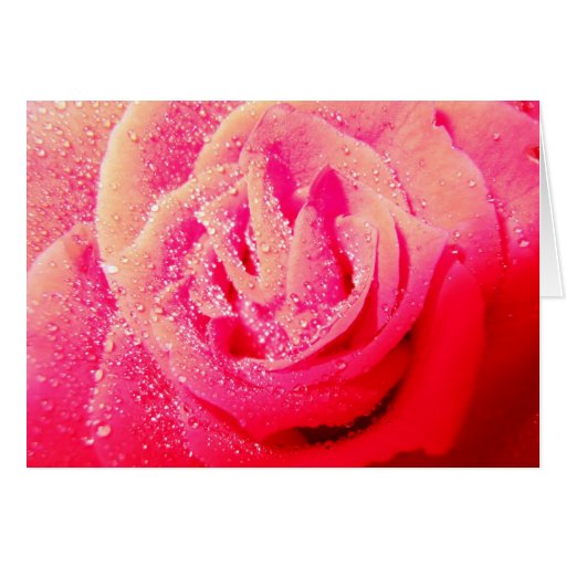 Rosen-Rhapsodies-Gruß-Karte